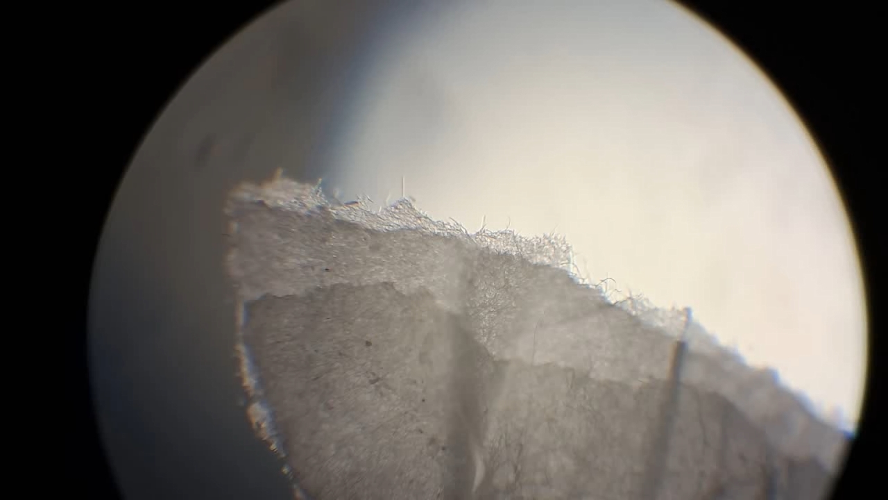 Electrospinning: Solutions of Polystyrene and Polyvinylidene Difluoride in Dimethylformamide